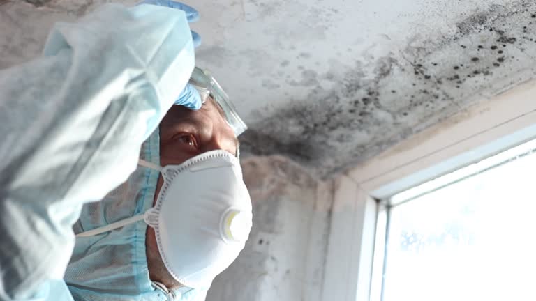 Environmental Consulting for Mold Prevention in Fenton, MI